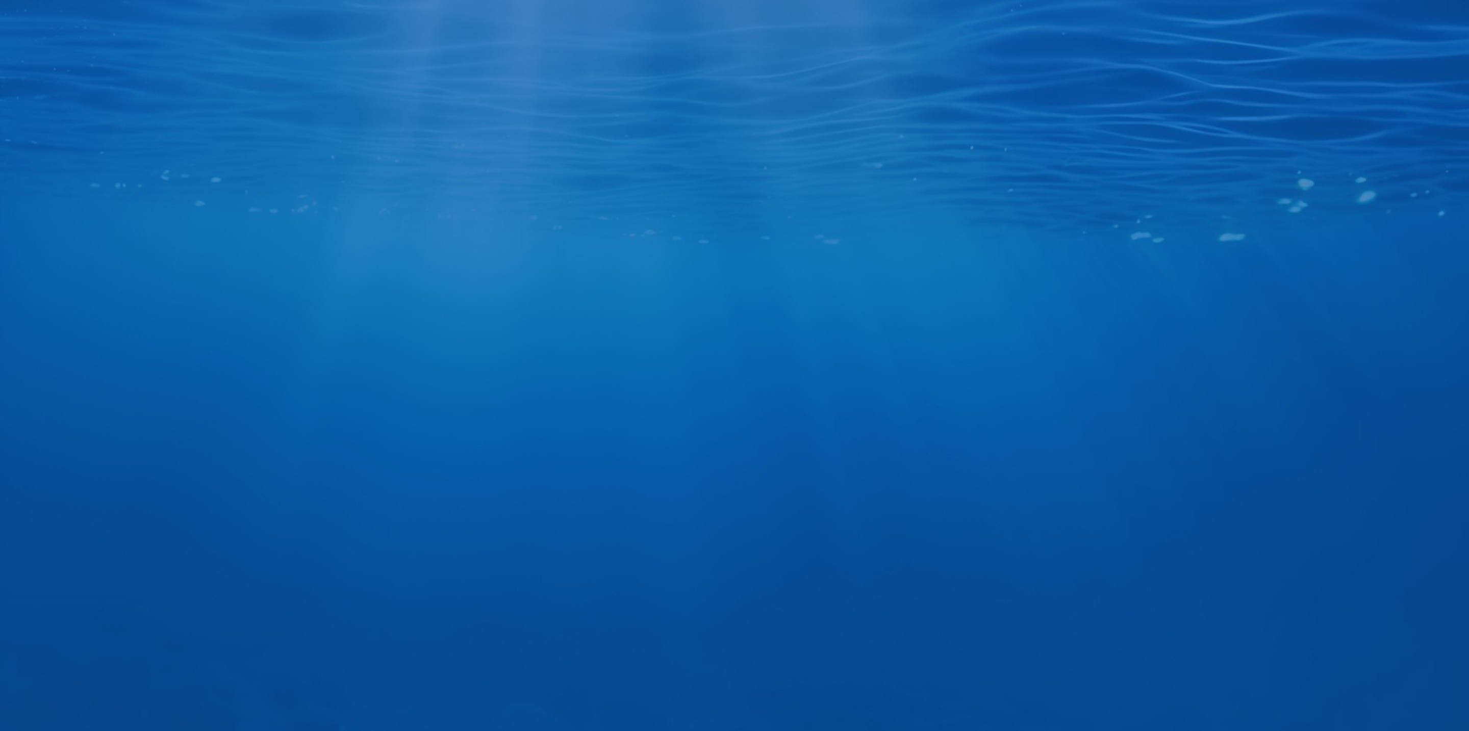 青岛赶海机器人有限公司